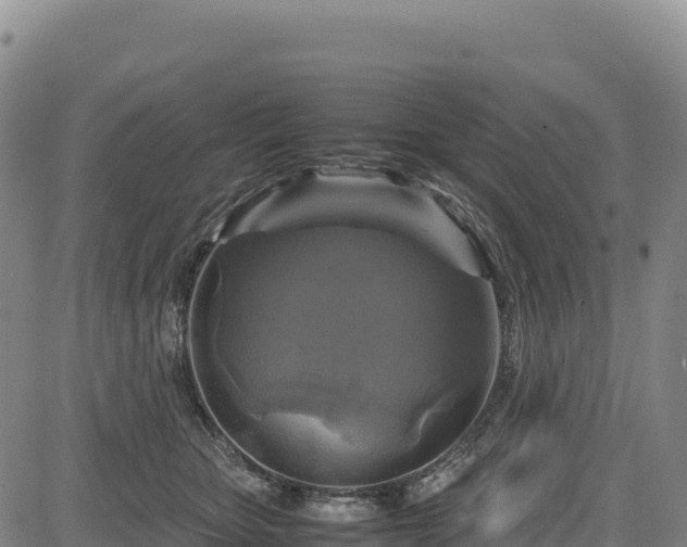 X0000083640467200702201413