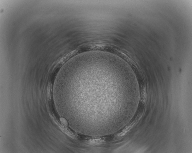 X0000083640468200702201413