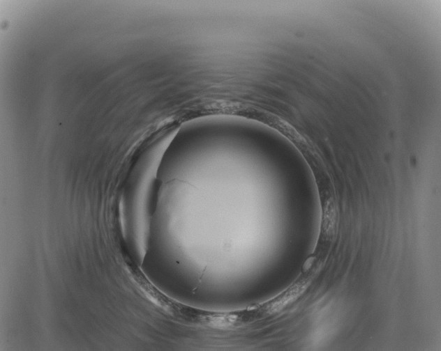 X0000083640474200702201413