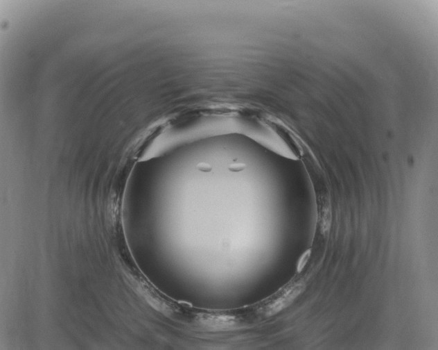 X0000083640476200702201413
