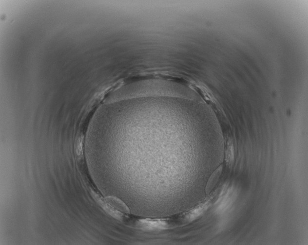 X0000083640477200702201413