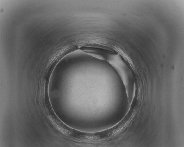 X0000083640493200702201412