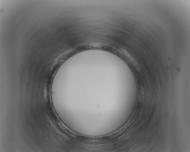 X0000083640500200702201412