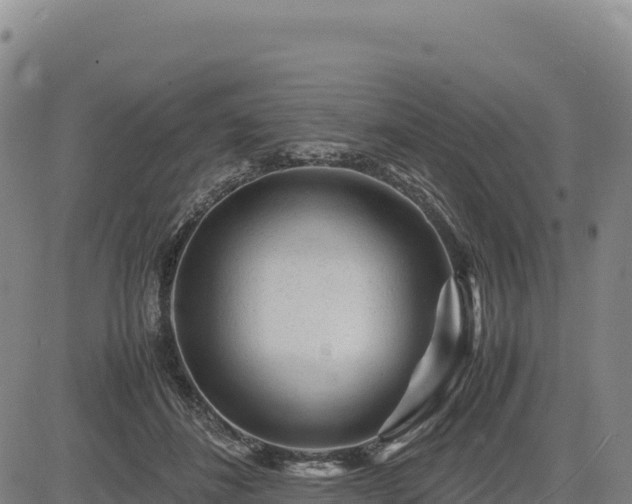 X0000083640508200702201412