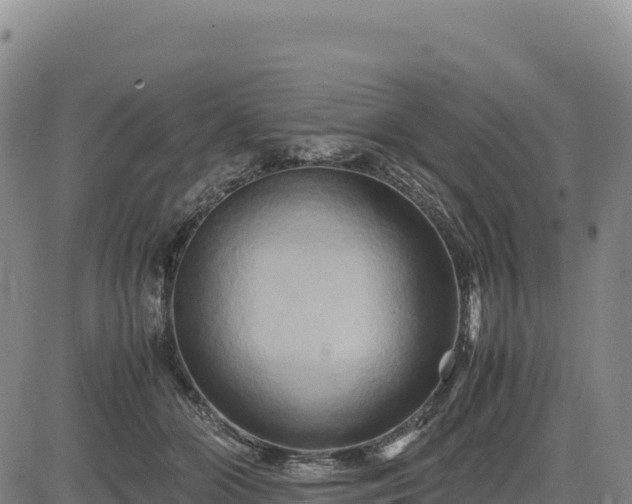 X0000083640510200702201412
