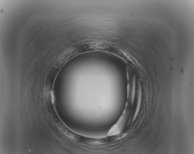 X0000083640513200702201412