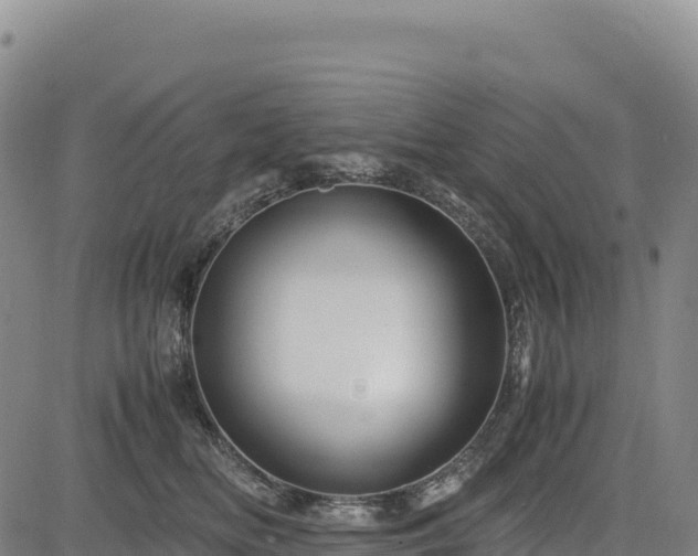 X0000083640518200702201412