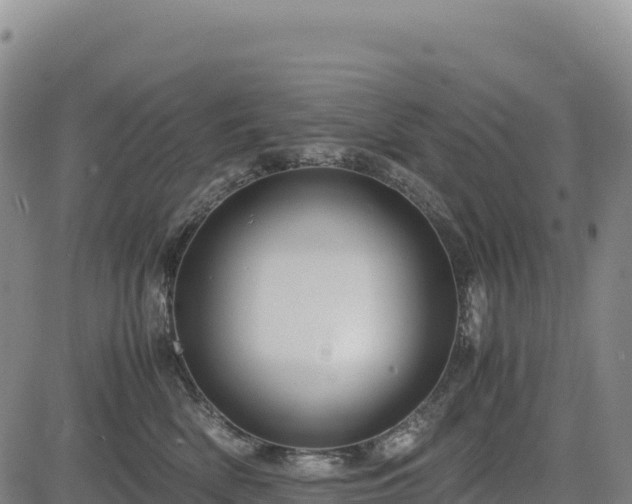 X0000083640522200702201411