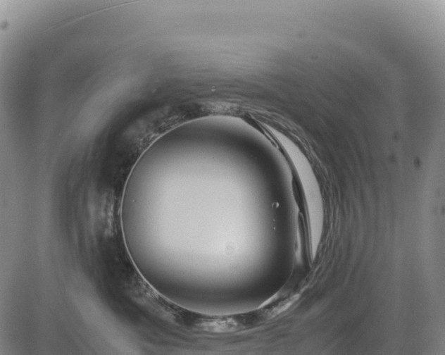 X0000083640525200702201411
