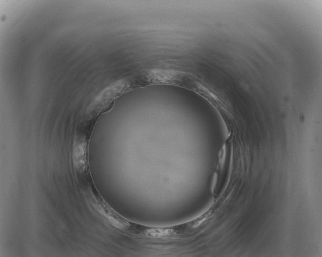 X0000083640526200702201411