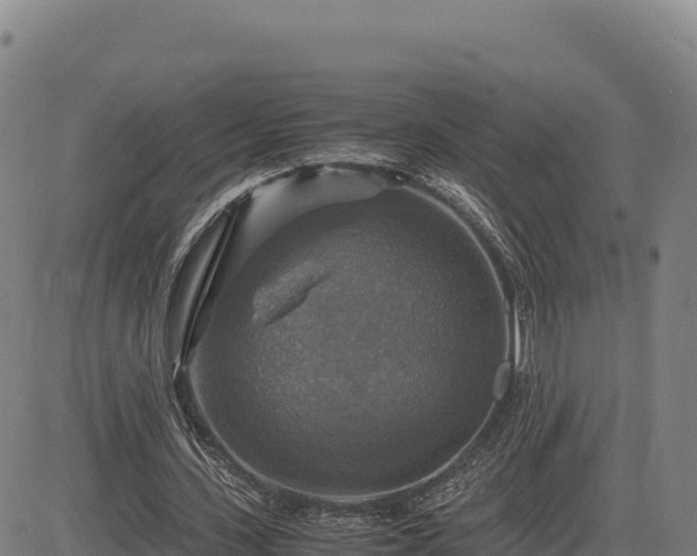 X0000083640531200702201411