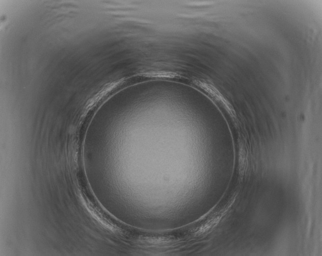 X0000083640533200702201411