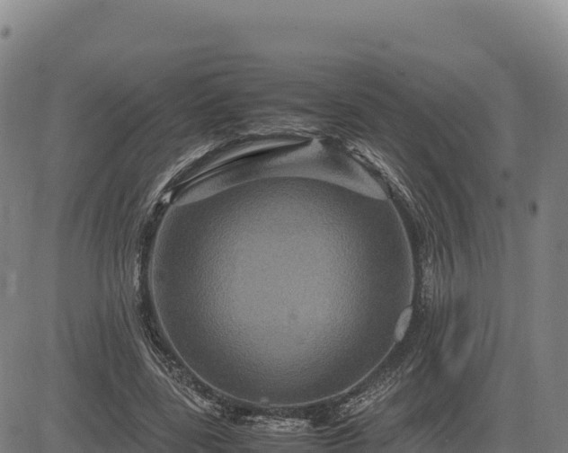 X0000083640539200702201411