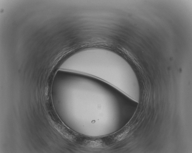 X0000083640548200702201411