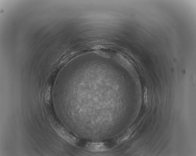 X0000083640554200702201411