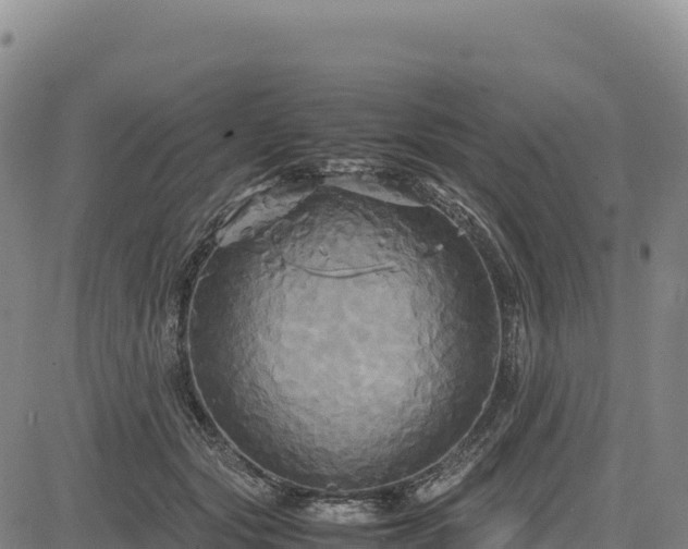 X0000083640557200702201411