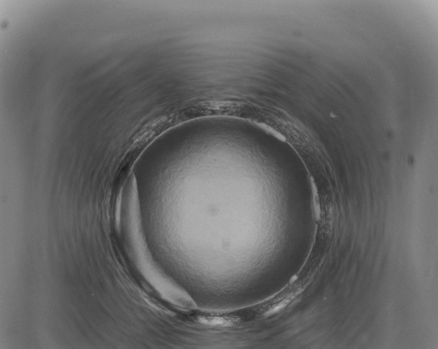 X0000083640558200702201411