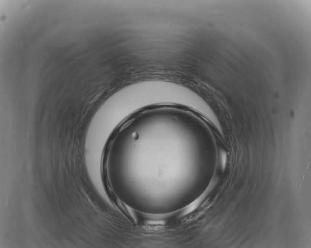 X0000083640560200702201411