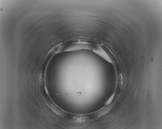 X0000083640564200702201411