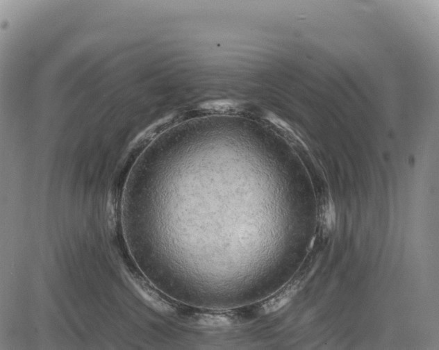 X0000083640572200702201411