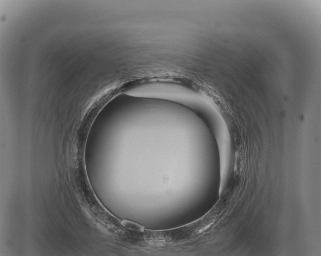 X0000083640587200702201410