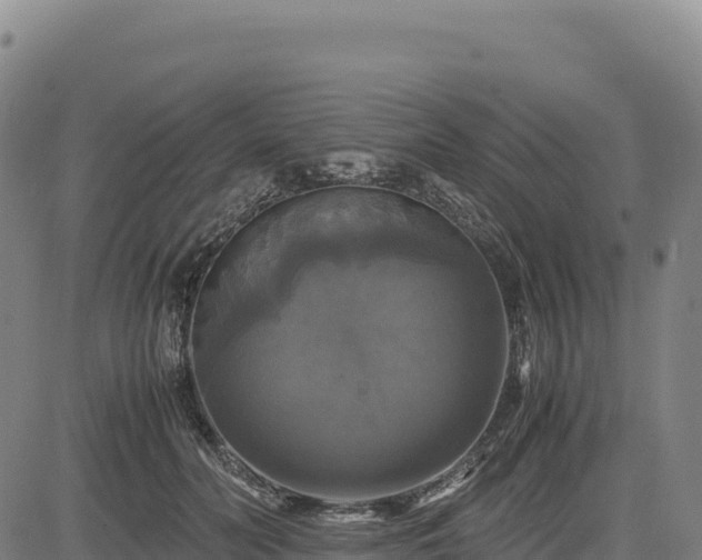 X0000083640606200702201410