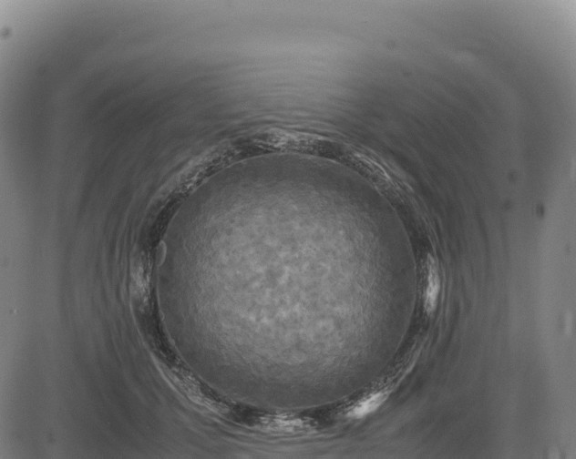 X0000083640607200702201410