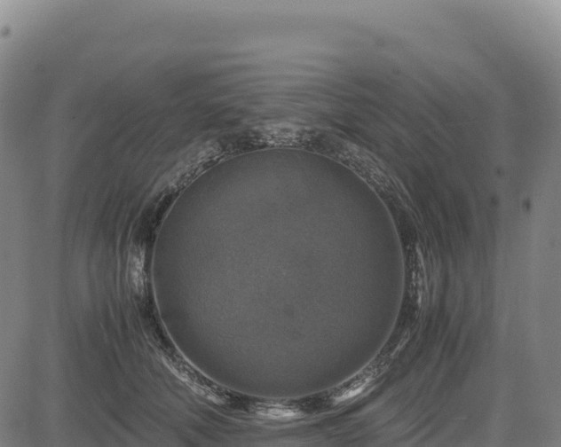 X0000083640610200702201410
