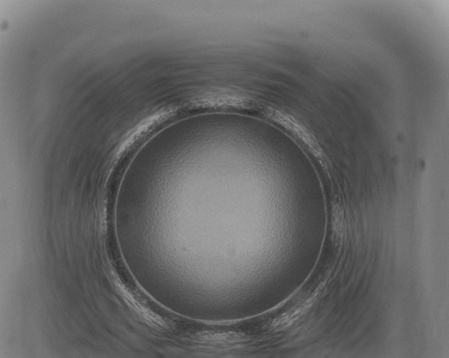 X0000083640629200702201409