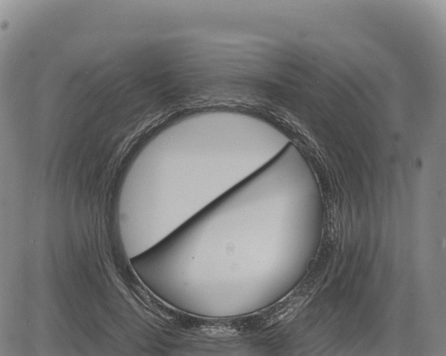 X0000083640644200702201409