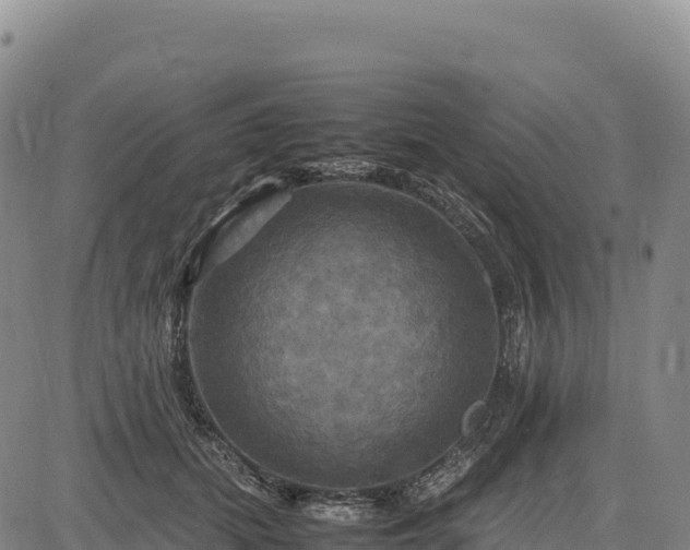 X0000083640655200702201409