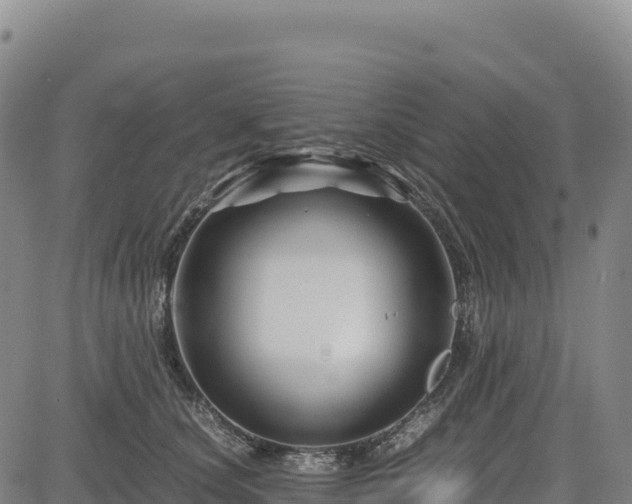 X0000083640660200702201410