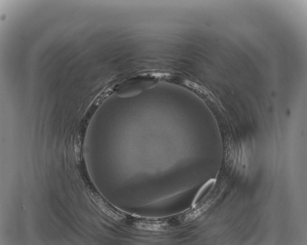 X0000083640661200702201410