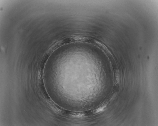 X0000083640667200702201410