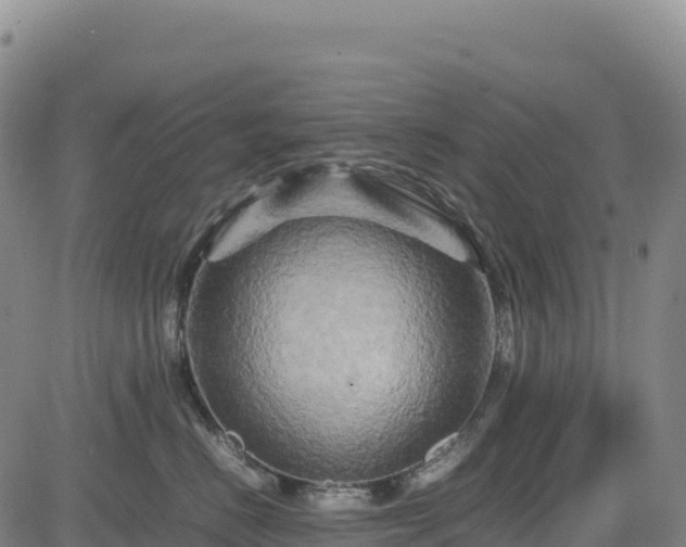 X0000083640670200702201410