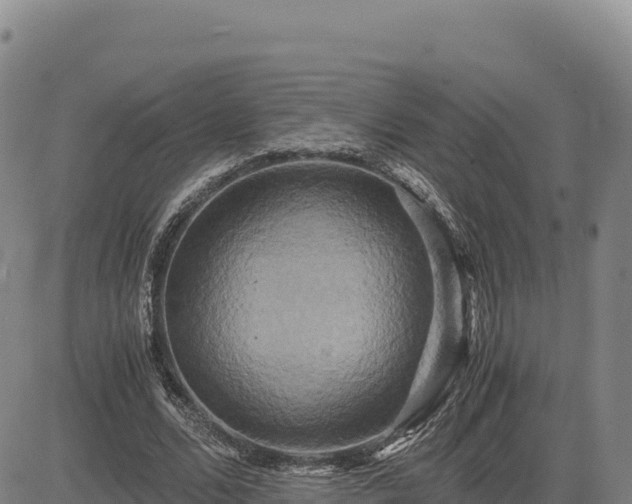 X0000083640680200702201409