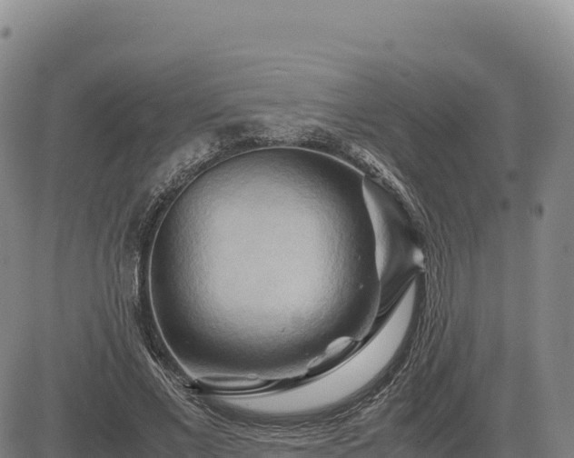 X0000083640685200702201409