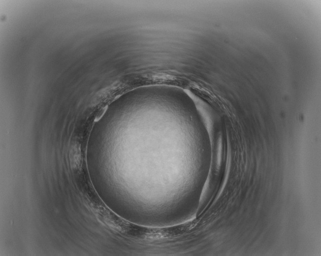 X0000083640704200702201408