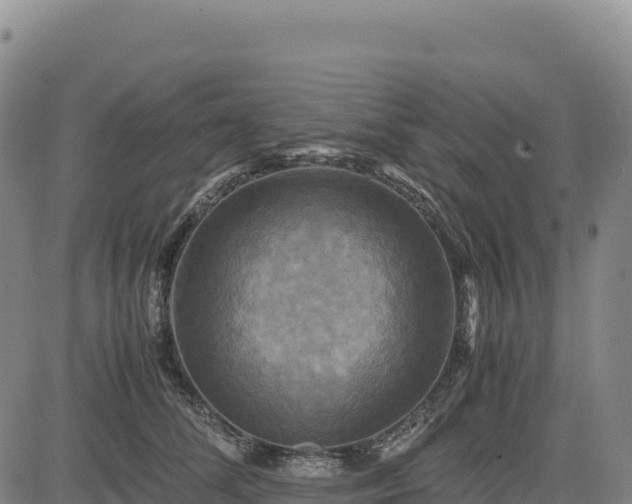X0000083640708200702201408