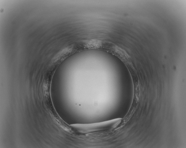 X0000083640714200702201408