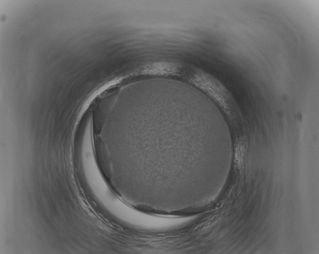 X0000083640724200702201407