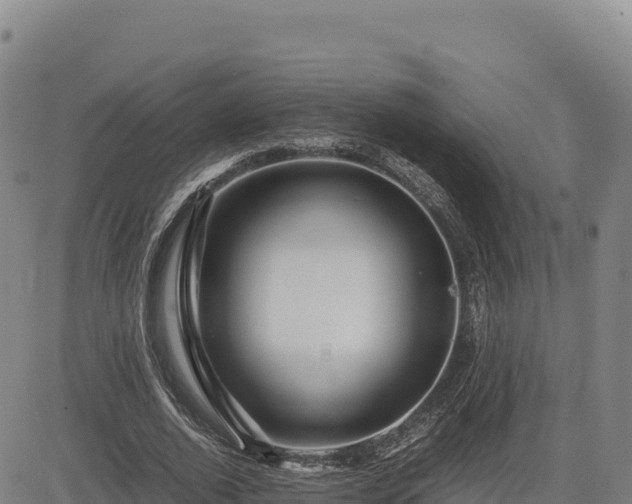X0000083640728200702201407