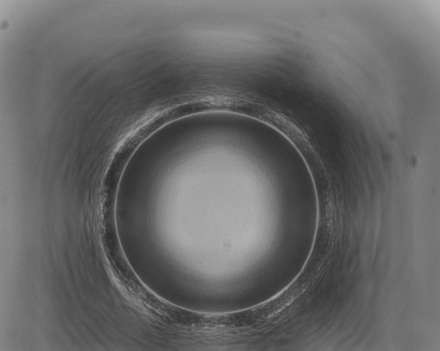 X0000083640730200702201408