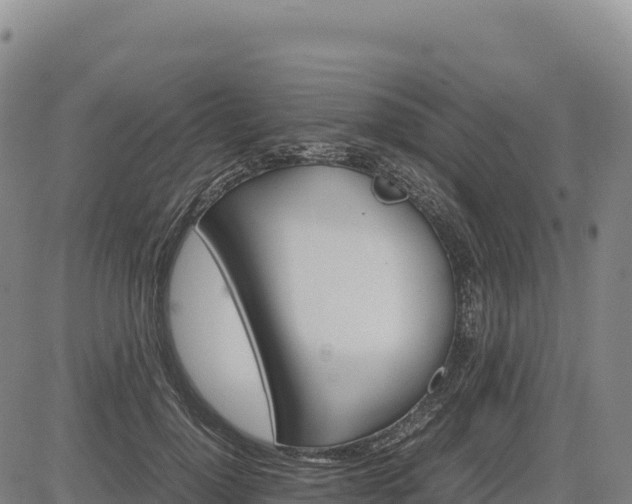 X0000083640748200702201408