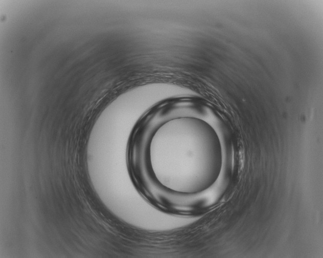 X0000083640750200702201408