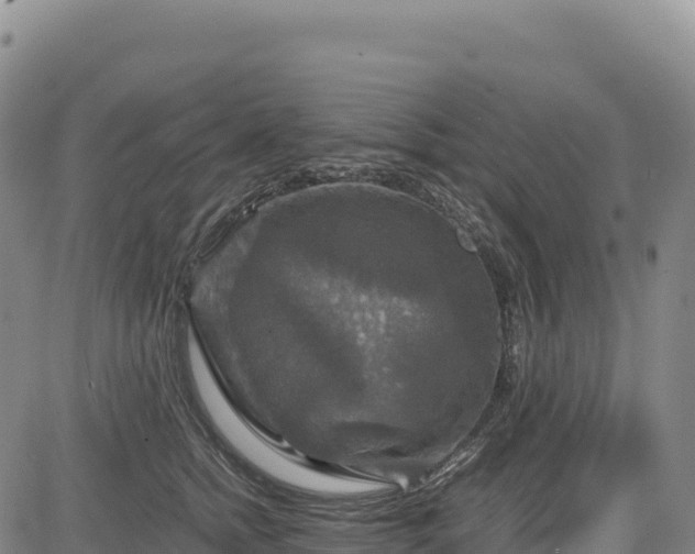X0000083640758200702201408