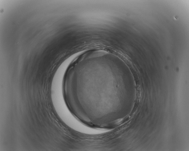 X0000083640762200702201408