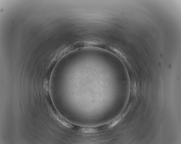 X0000083640766200702201408
