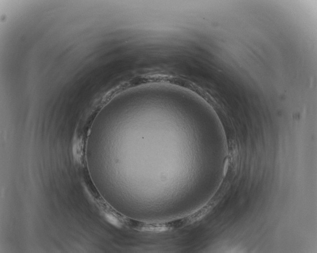 X0000083640767200702201408