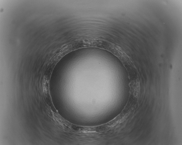 X0000083640770200702201407